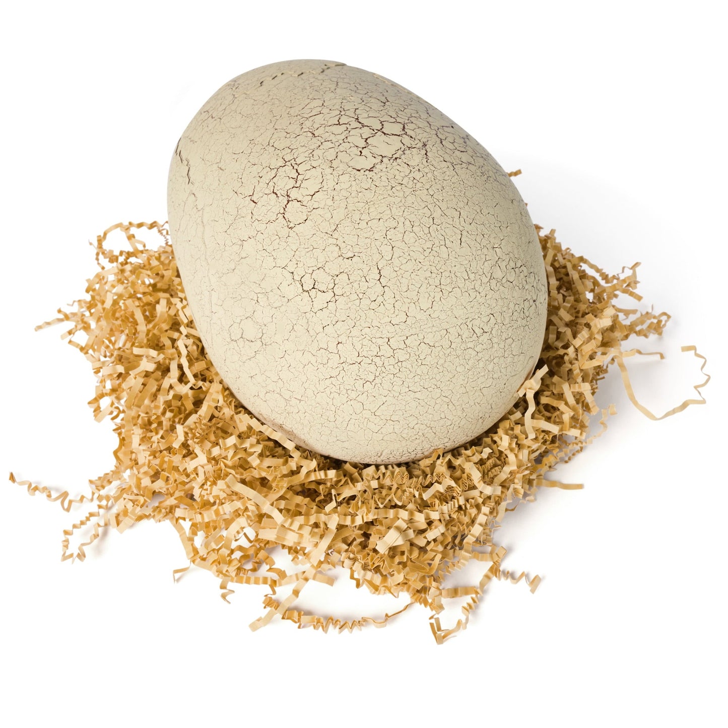 Jurassic World Primal Hatch T-Rex, Interactive Dinosaur Toy for Kids Ages 5 and up