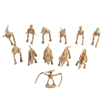 Ke1Clo 12PCS Dinosaur Fossil Skeletons, Assorted Dinosaur Skeleton Toys Small Dinosaur Figures Plastic Dinosaur Party Favors